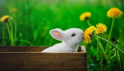 菲律宾向中国喊话，越南也连吹8座岛，刺头蜂拥而至，中方做好准备