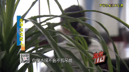 带上一盒死蟋蟀,00后女子到上海衣食住行全靠白嫖,样样找茬赖账求免单