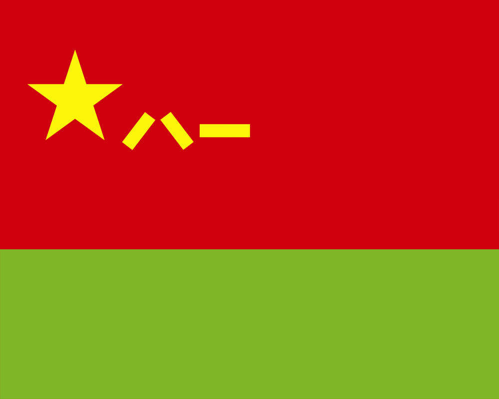 兵种军旗发布!组图来了
