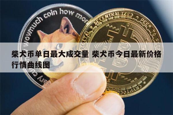 狗狗币的行情在哪可以看的简单介绍