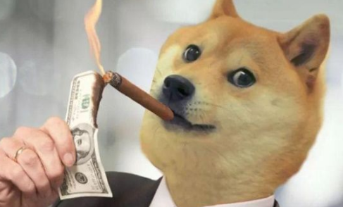 柴犬狗狗币头像(柴犬币有没有投资价值)