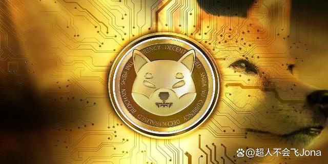 狗狗币与柴犬币哪个更值得买(狗狗币与柴犬币哪个更值得买一些)
