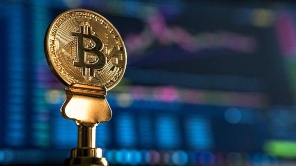 狗狗币能涨到多少估值(狗狗币能涨到多少钱一枚)