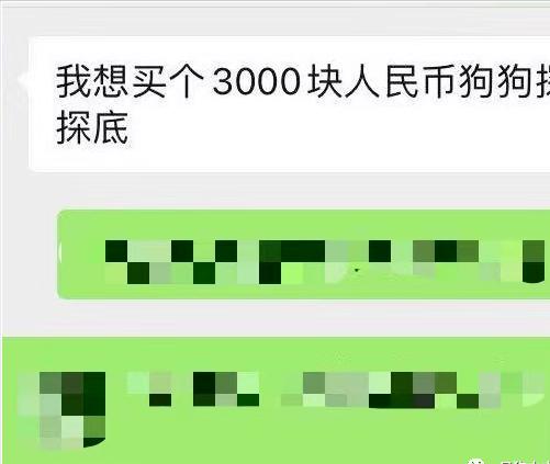 人民币兑狗狗币(人民币兑狗狗币多少钱)