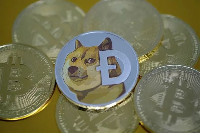 狗狗币狗币日(狗狗币最高价格)