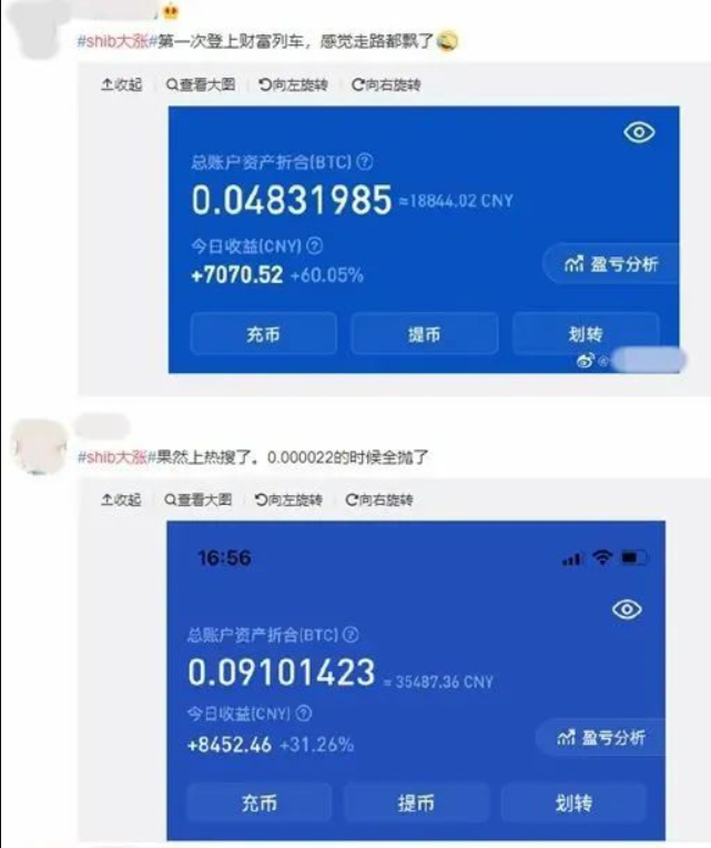 狗狗币3000(狗狗币3000变一个亿)