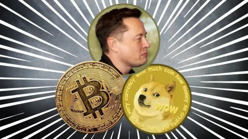 狗狗币能存在哪个虚拟钱包(狗狗币能支付吗)