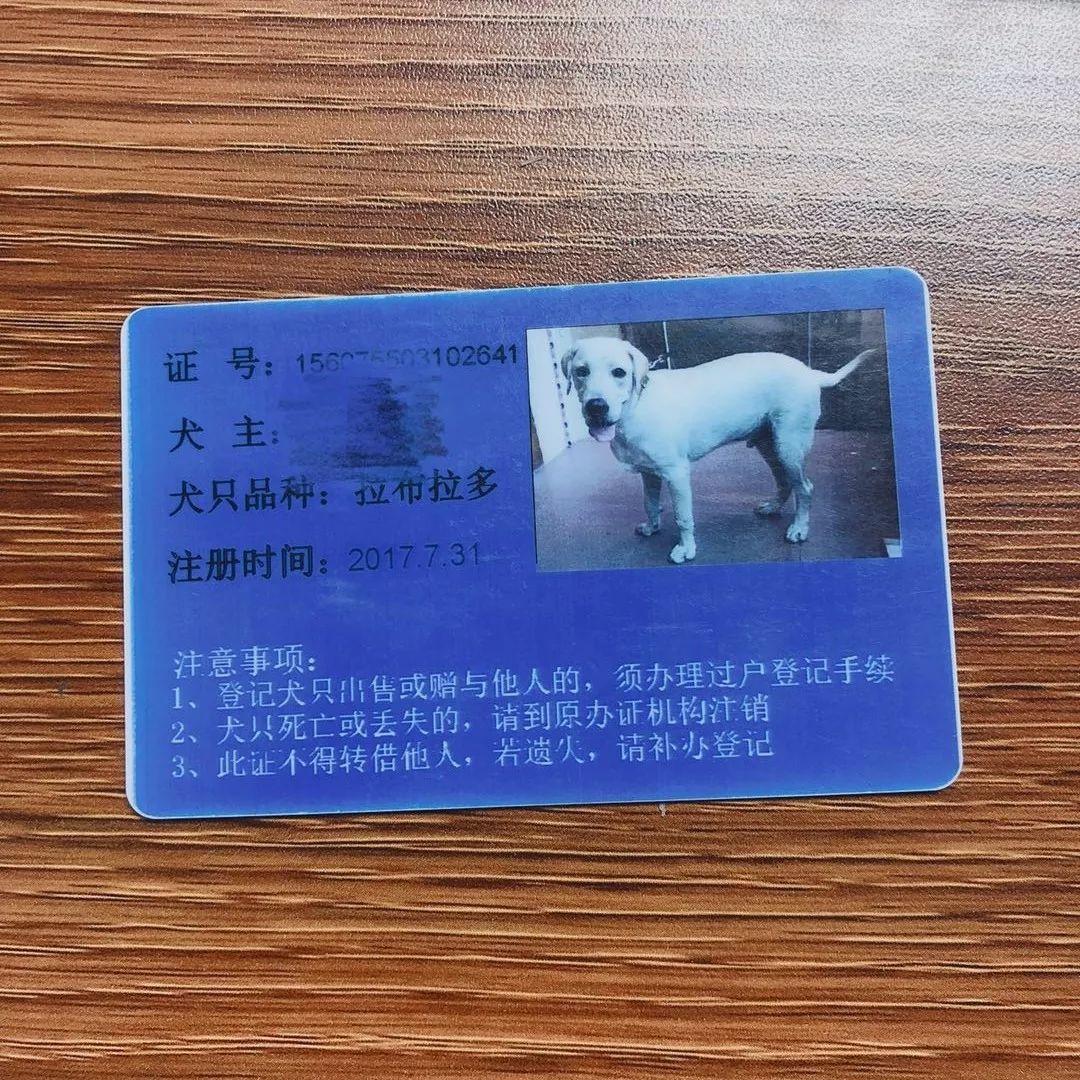 如何证明狗狗币是自己的(如何证明狗狗币是自己的呢) 如何证明狗狗币是自己的(如何证明狗狗币是自己的呢)