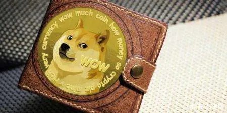 狗狗币长了几倍(狗狗币涨幅最大有多少)