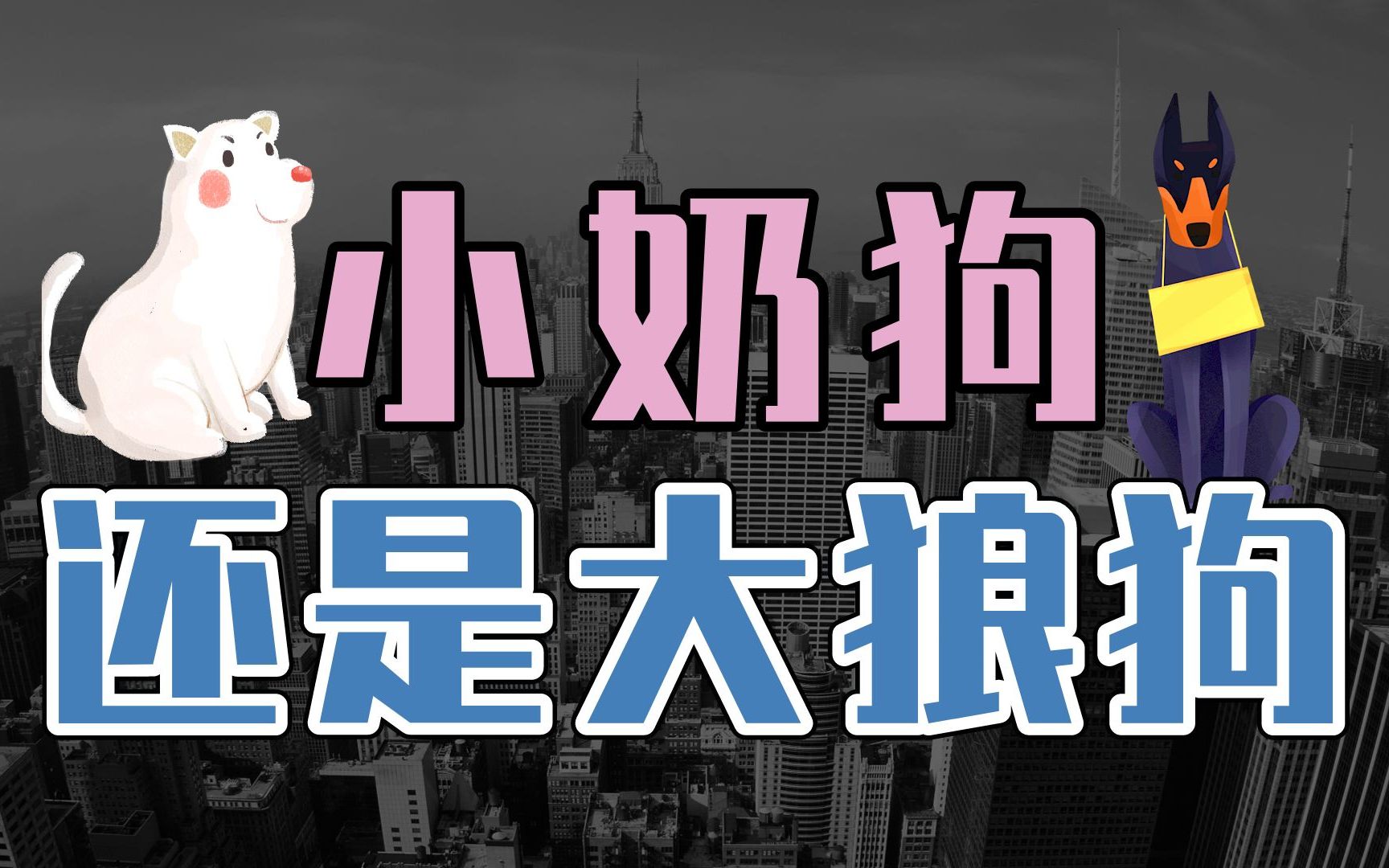 狗狗币2022还能起飞吗(狗狗币还会不会跌到最初价格)