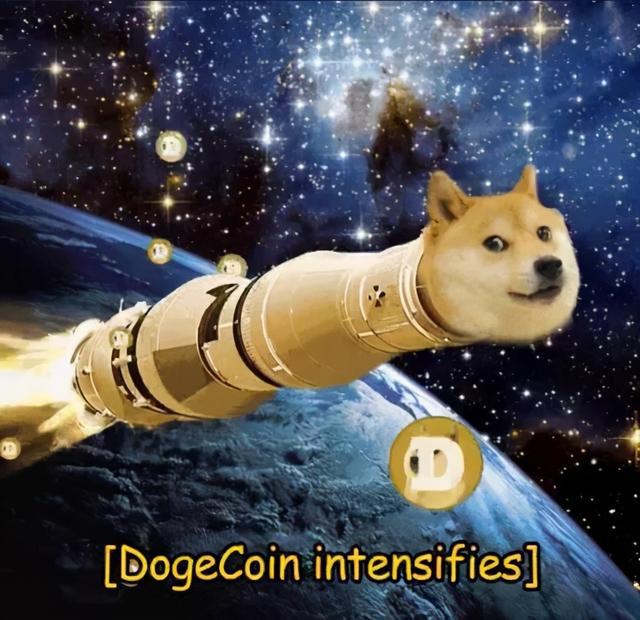 柴犬狗狗币头像(柴犬币有什么用途)