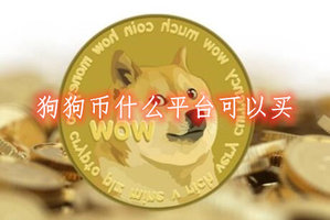 狗狗币从哪里可以买(狗狗币从哪里可以买到)