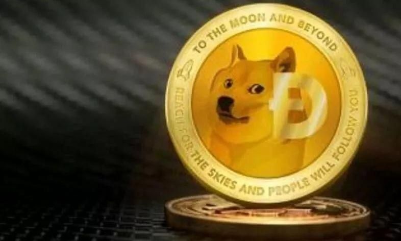 狗狗币从哪里可以买(狗狗币从哪里可以买到)