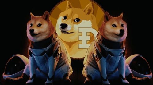 狗狗币的狗狗是谁(狗狗币的狗狗是谁发明的呢)
