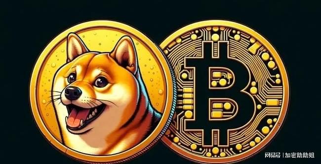 啊搜索狗狗币加密货币(狗狗币市值排名加密货币第五)
