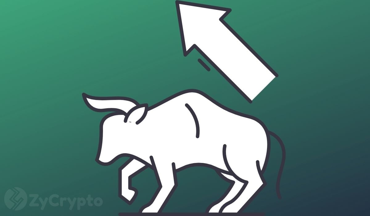 狗狗币和传统公司的梦幻联动(狗狗币和fil)