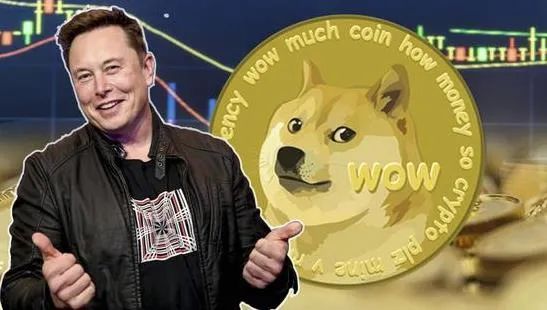 狗狗币125倍合约(狗狗币现货和合约区别)