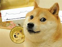 狗狗币支持app吗(狗狗币有没有手机app)