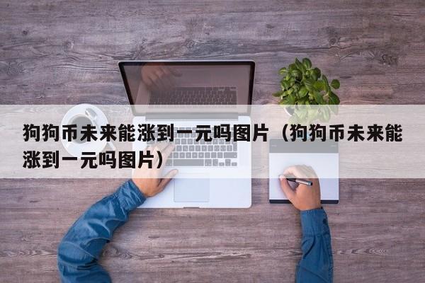 狗狗币2021涨了多少(2021年狗狗币未来的升值空间)