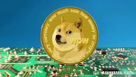 狗狗币近期视频(狗狗币币最新价格行情)