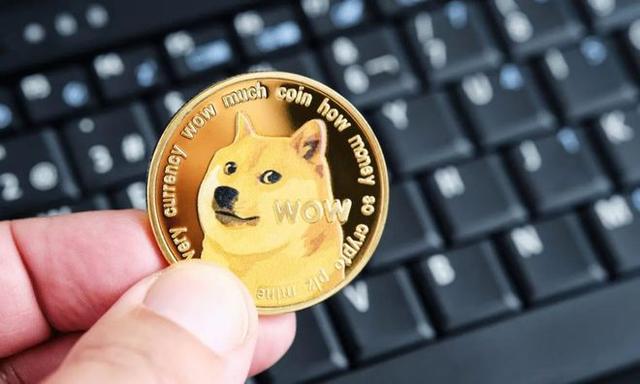 关于狗狗币已经涨了多少倍了的信息