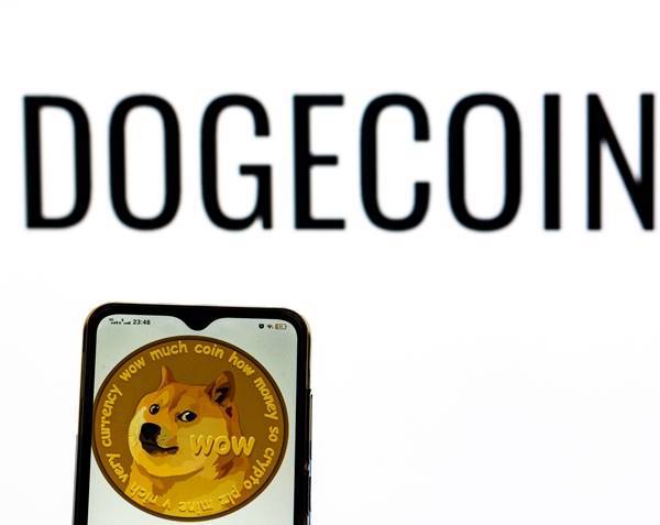 关于狗狗币已经涨了多少倍了的信息