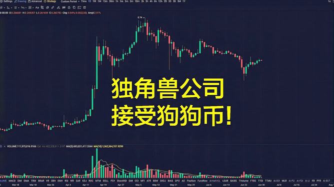关于狗狗币能存在哪个虚拟钱包的信息