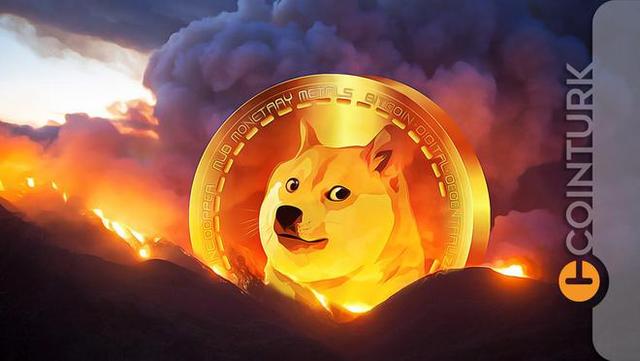酷狗的狗狗币为什么会消失(酷狗狗狗币兑换会员可以换几次)