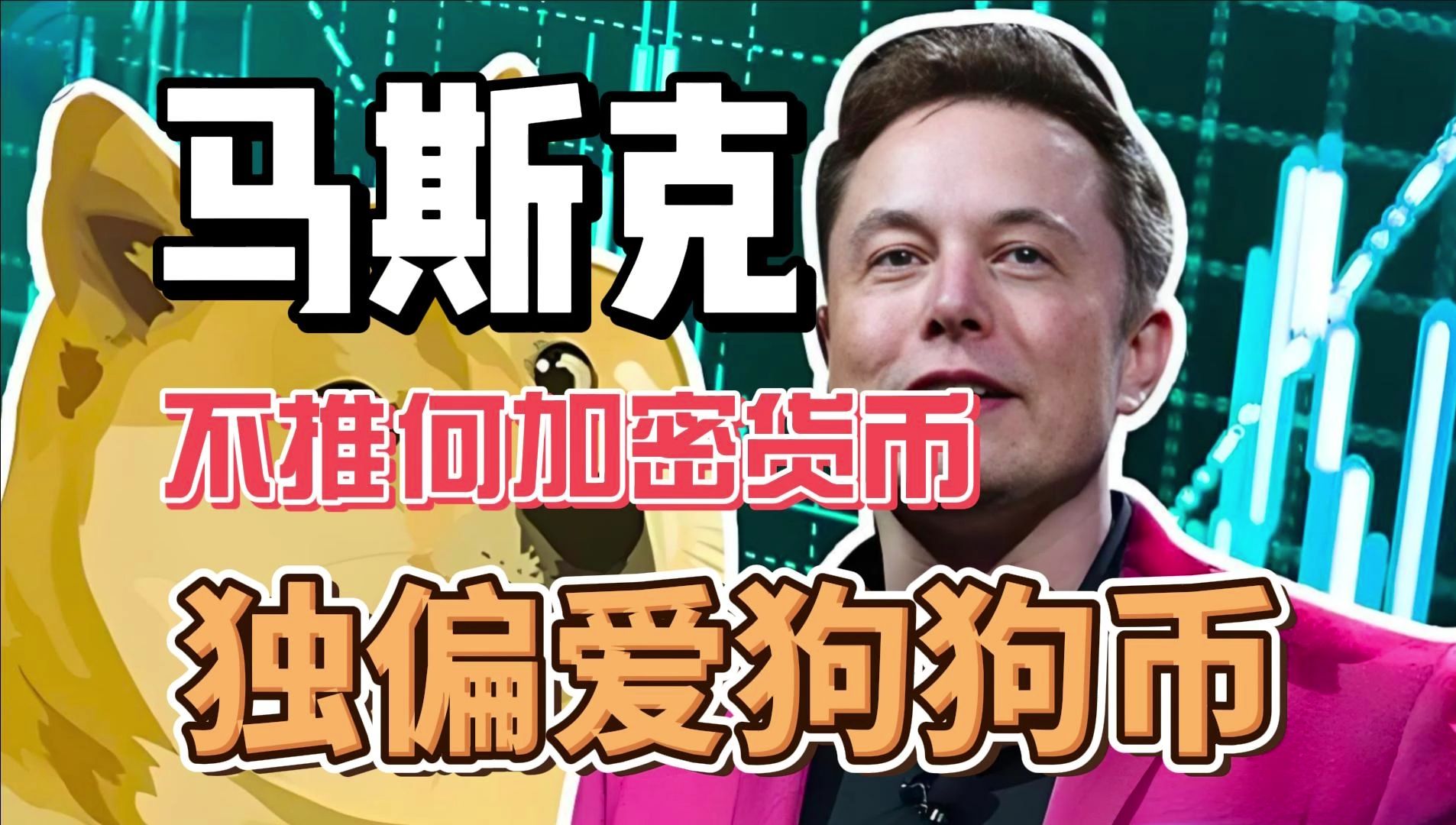 狗狗币巨鲸(狗狗币的极限)