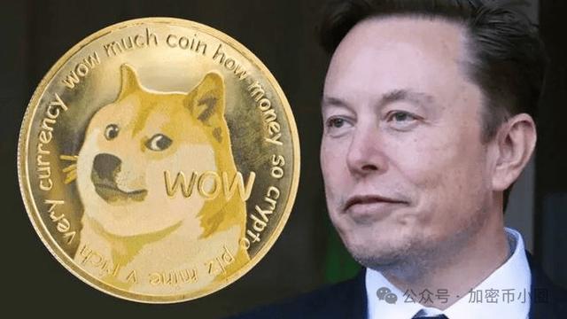 狗狗币已经涨了多少倍了(狗狗币能涨到300美元吗)